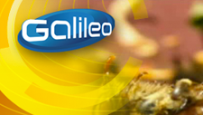 Pro7 - Galileo Spezial